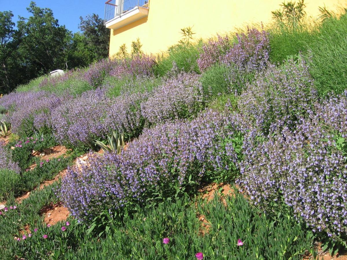 Villa Katarina Mošćenička Draga 외부 사진